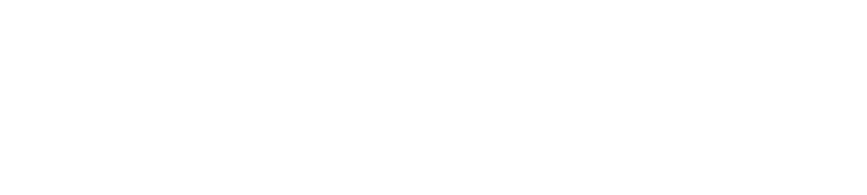 DsMonkTech Web Solution
